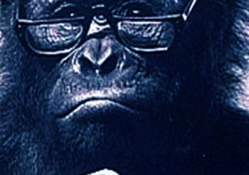 Repórter Primata 001 – Como os seres humanos lidaram com a sua liberdade de expressão e quando e onde os humanos ganharam e perderam sua liberdade